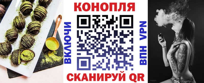 где купить   Болохово  Canna-Cookies конопля 