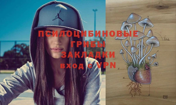 мдпв Арсеньев